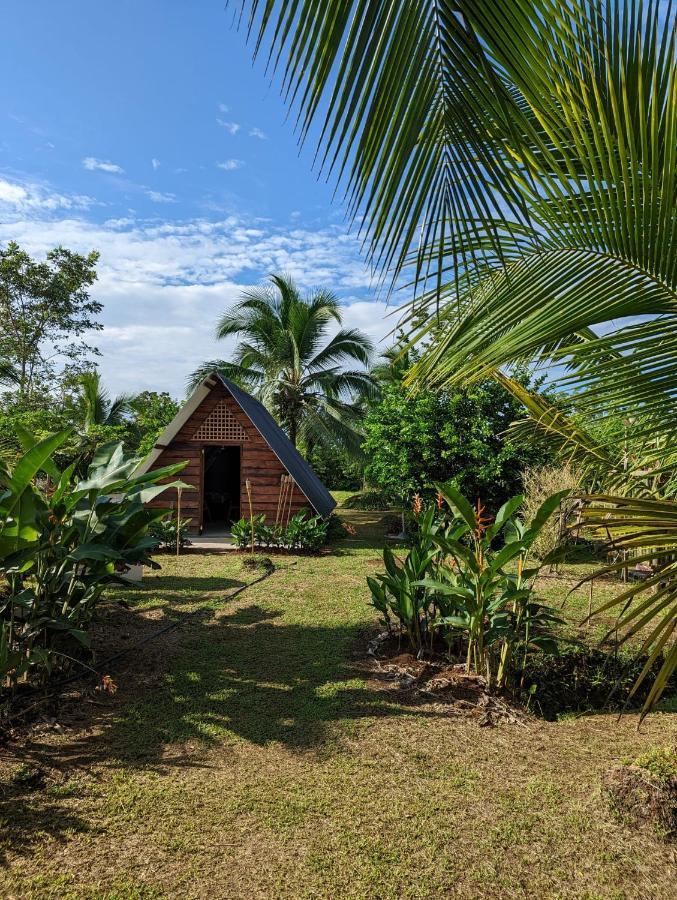 Bewak Cr Hotel Tortuguero Luaran gambar