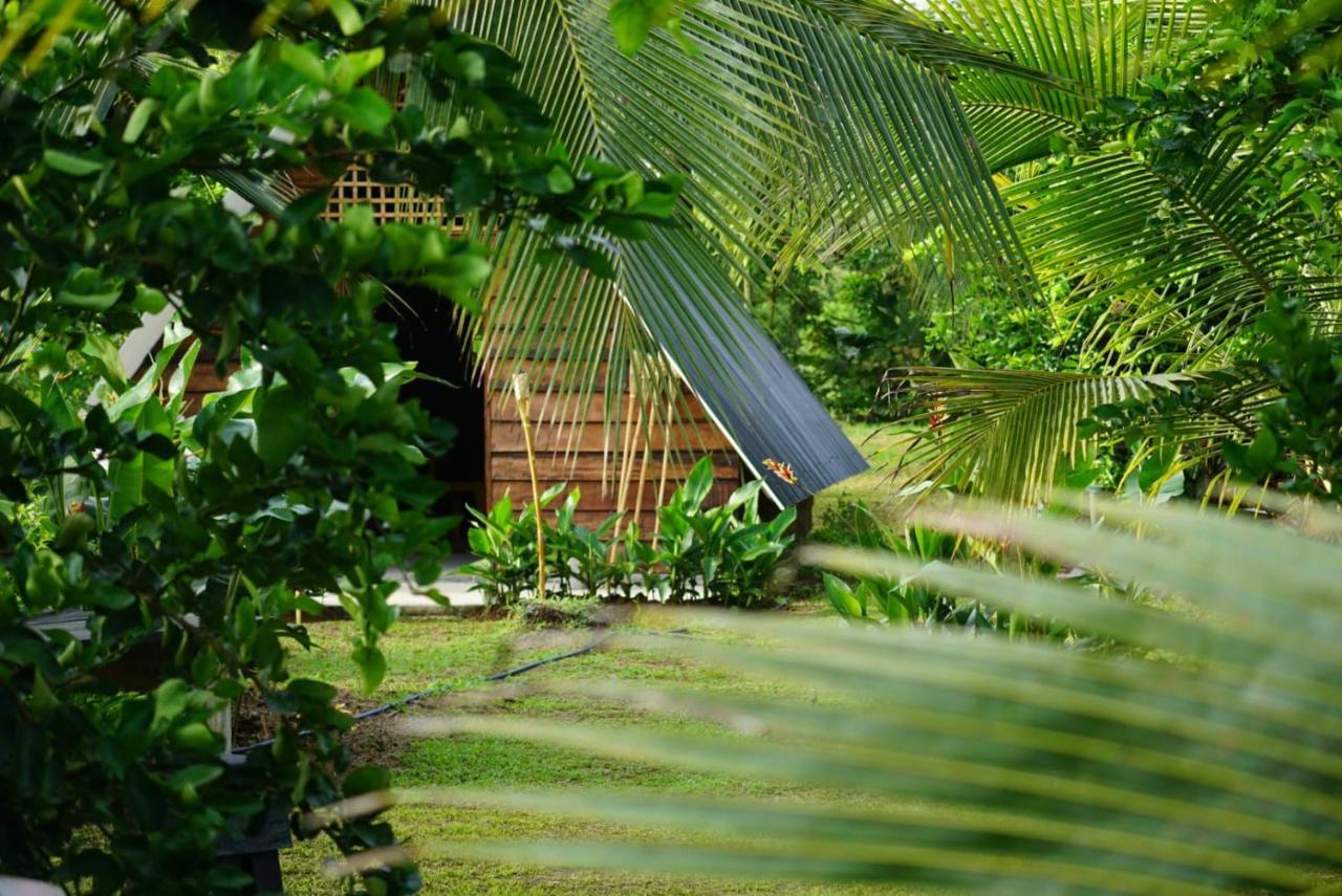 Bewak Cr Hotel Tortuguero Luaran gambar