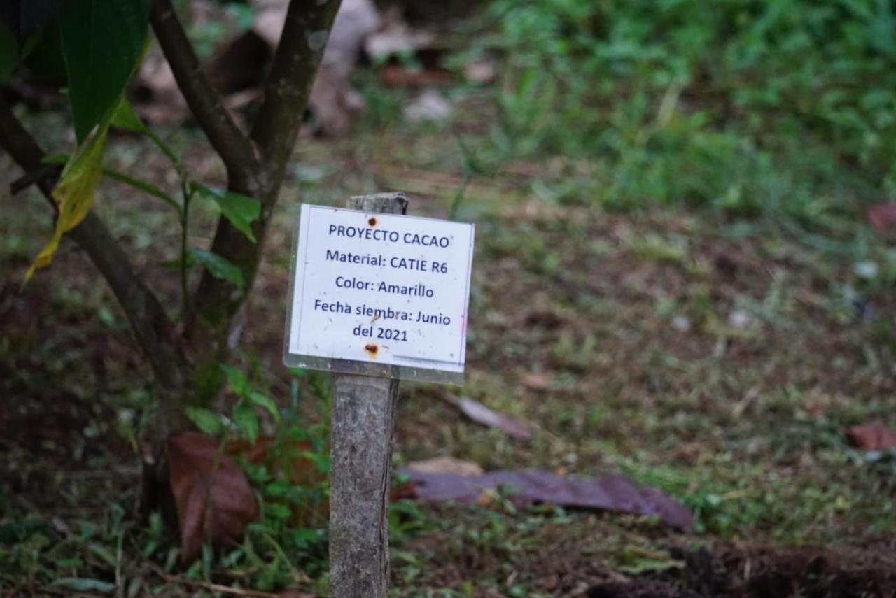 Bewak Cr Hotel Tortuguero Luaran gambar