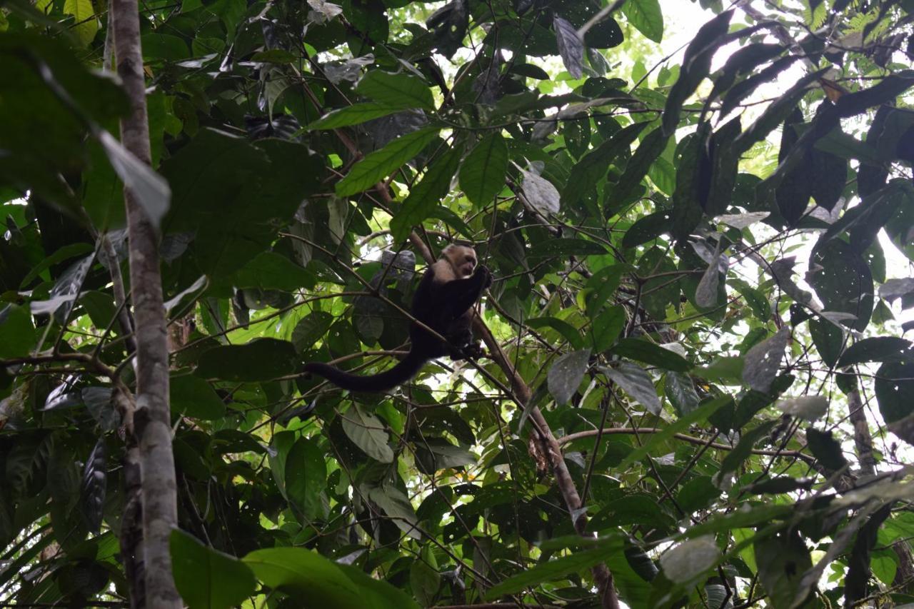 Bewak Cr Hotel Tortuguero Luaran gambar