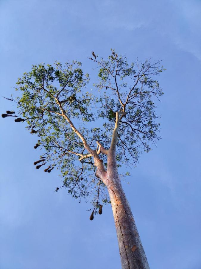 Bewak Cr Hotel Tortuguero Luaran gambar