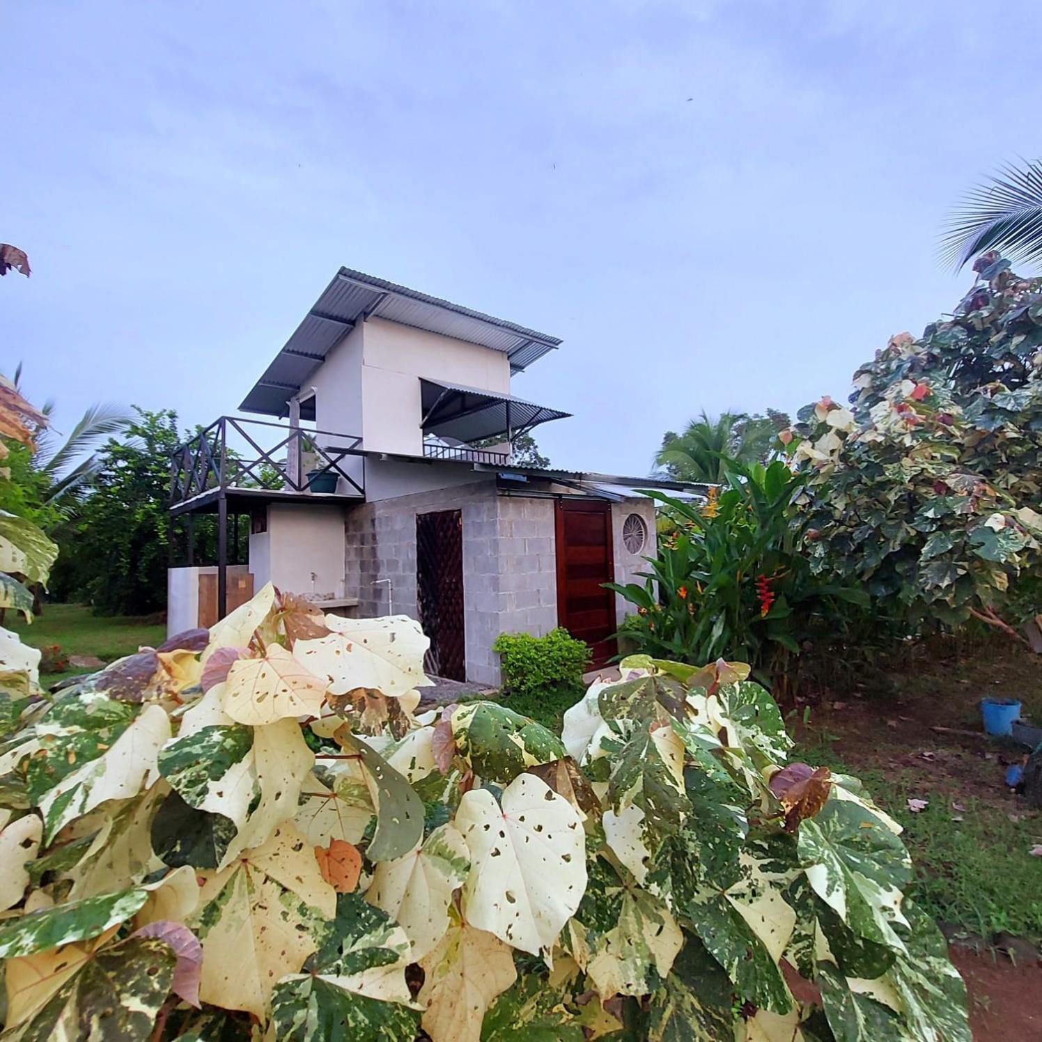 Bewak Cr Hotel Tortuguero Luaran gambar