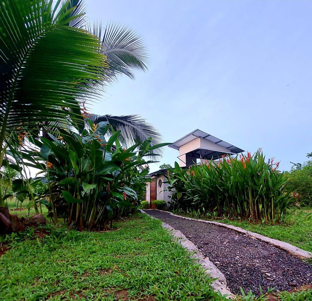 Bewak Cr Hotel Tortuguero Luaran gambar
