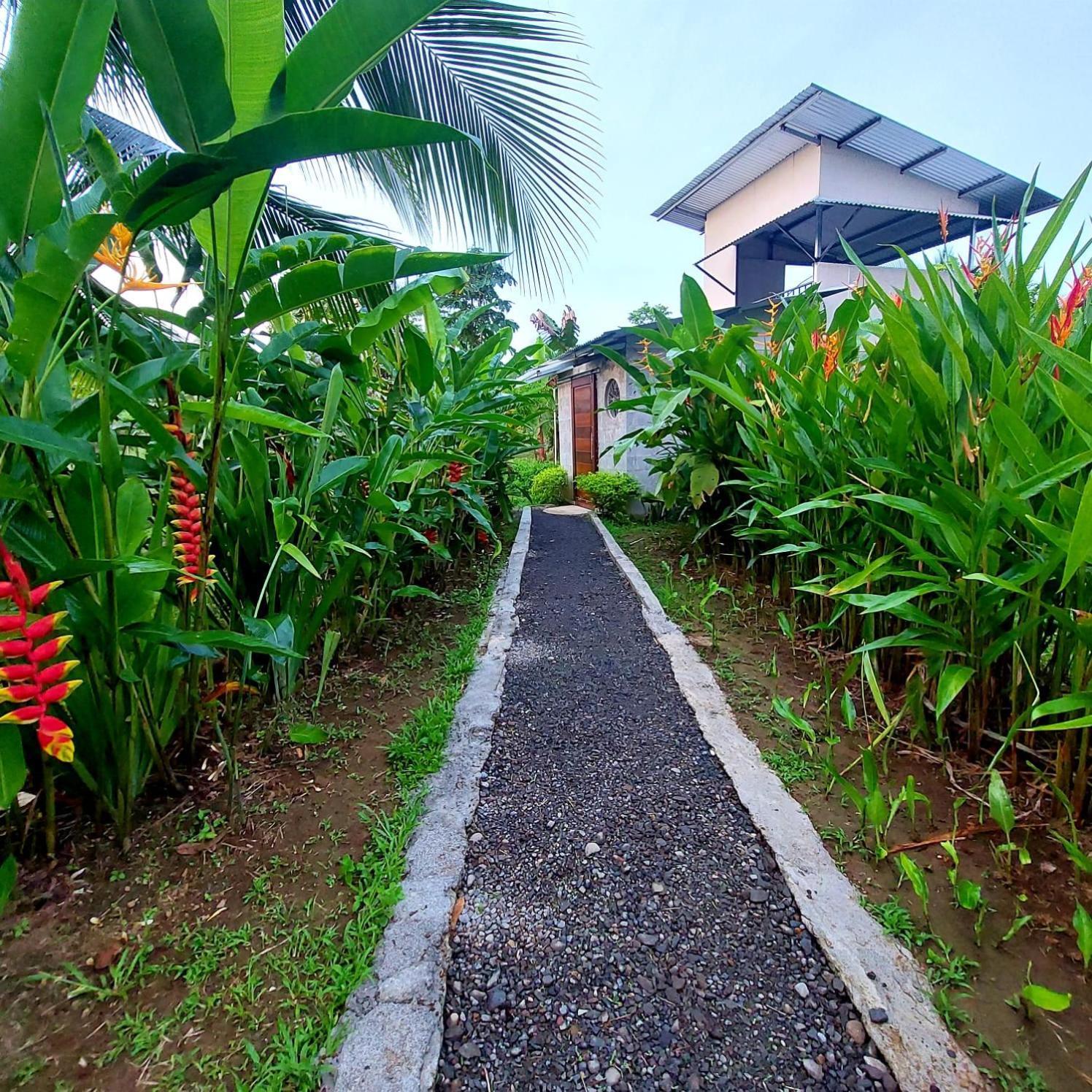 Bewak Cr Hotel Tortuguero Luaran gambar